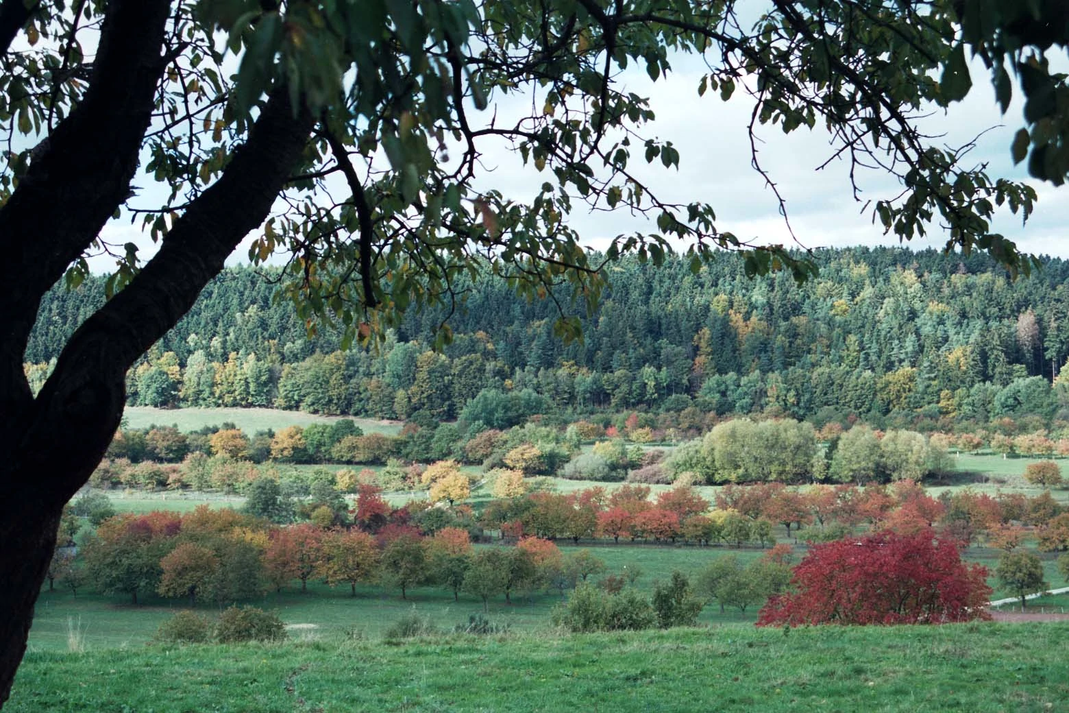 Wanderung an der Nieme von Bursfelde nach Löwenhagen